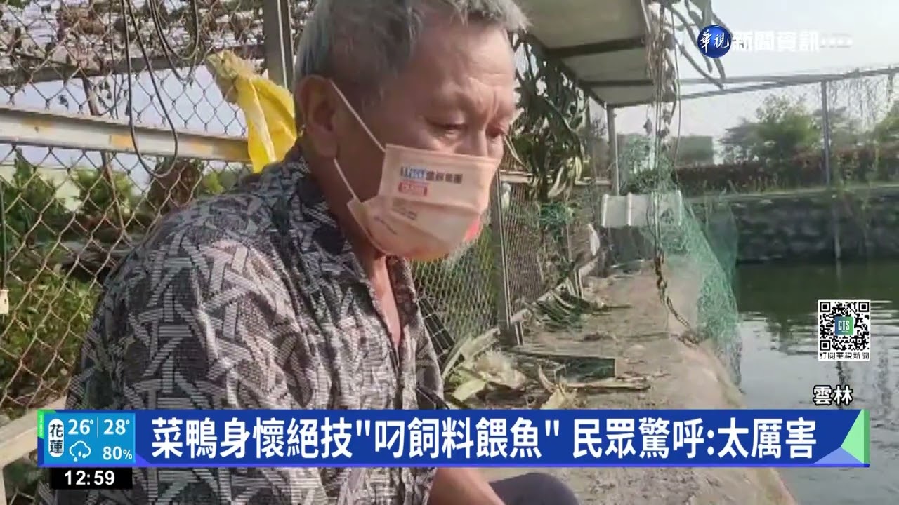 菜鴨身懷絕技