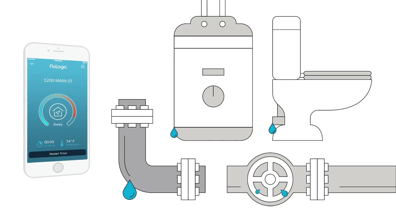FloLogic Explainer video voice over