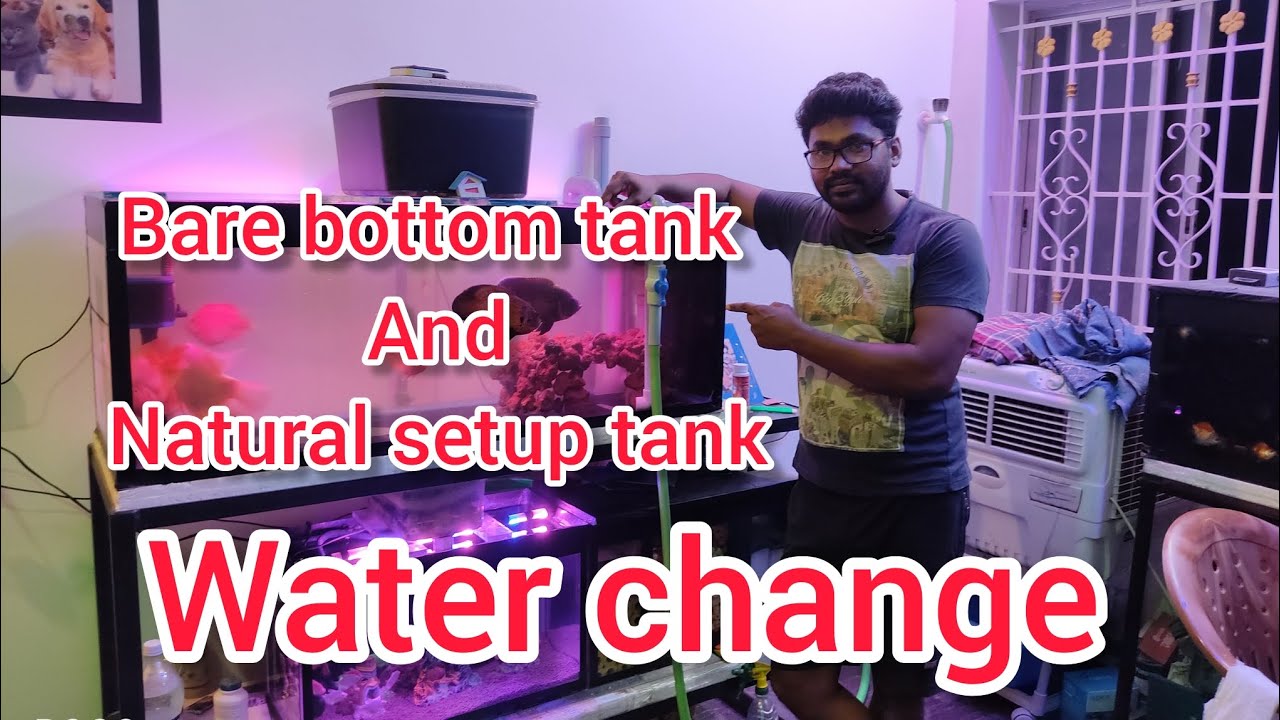 How to Water change bare bottom tank and natural setup tank #sumpfilter #aquariumfilter #video #fish