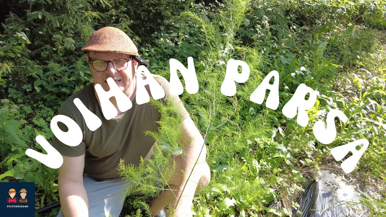 Voihan parsa!