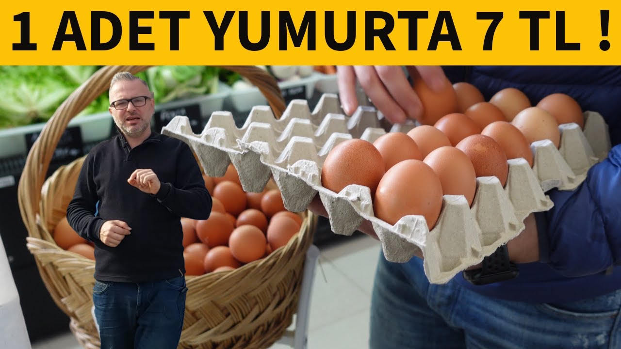 GEZEN TAVUK YUMURTASI SATARAK PARA KAZANMAK