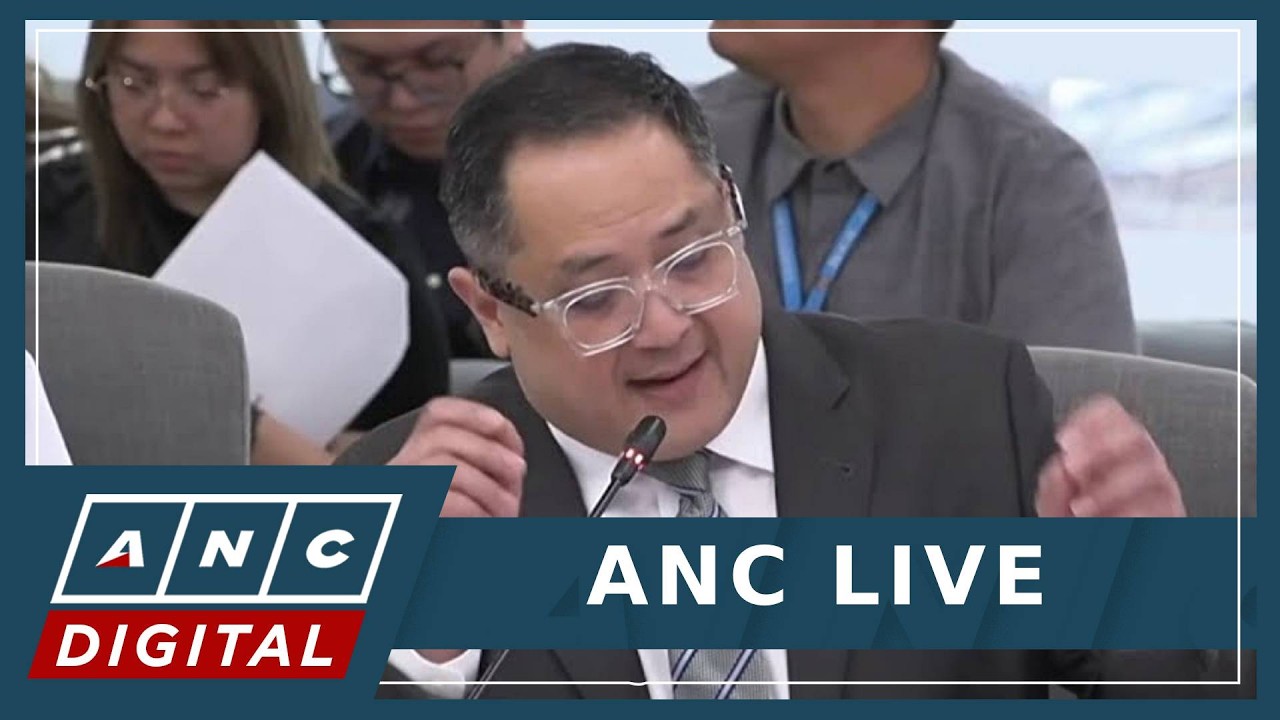 Suntay defends VP Sara again: Threats vs. Marcos do not allege an actual deal to kill | ANC