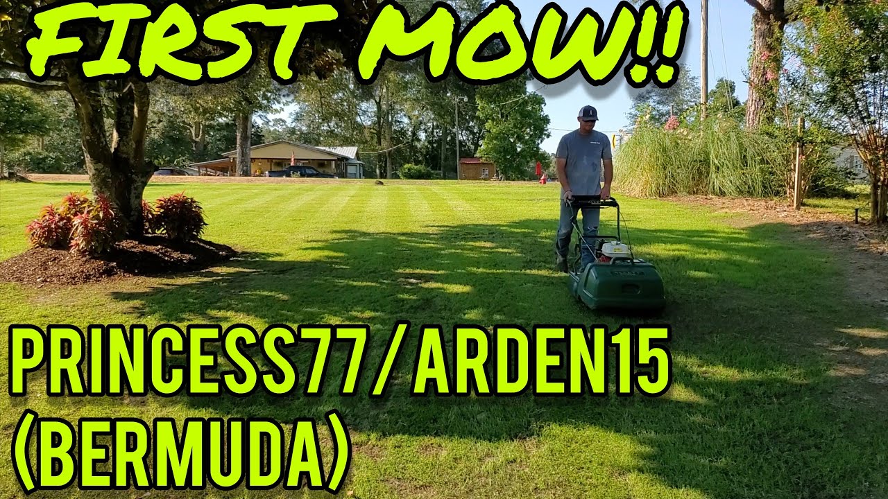 Lawn Renovation First Mow -Bermuda - Princess77 - Arden15 - Allett Kensington