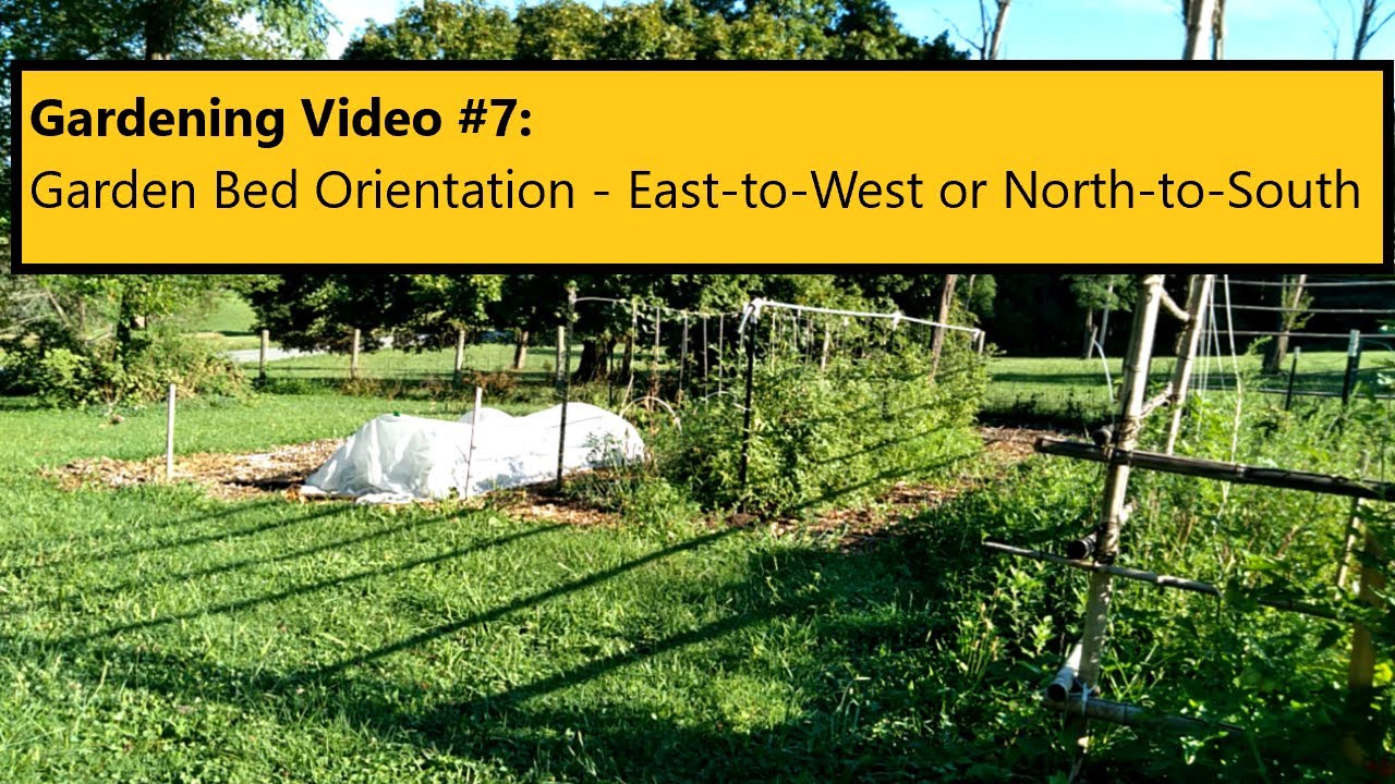 Gardening Video #7: Garden Bed Orientation - East-to-West or North-to-South