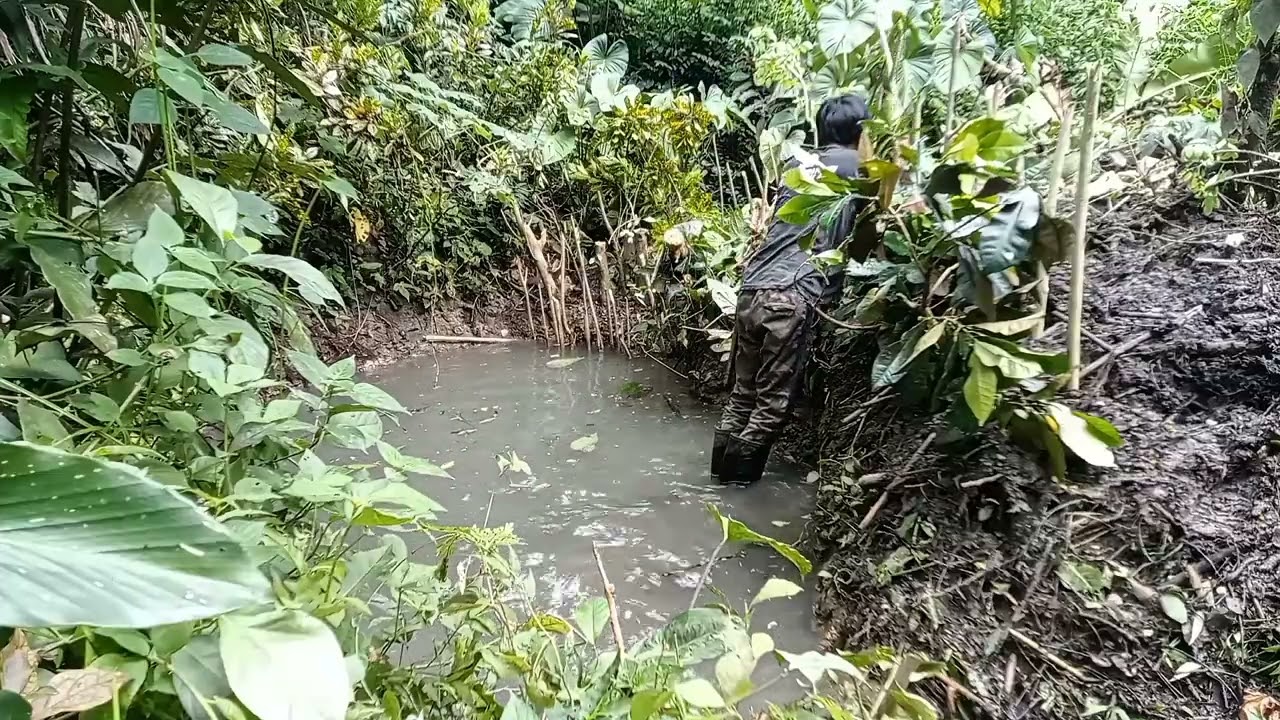 Harmoni Alam: Cara saya menjaga mata air tetap jernih dan teduh