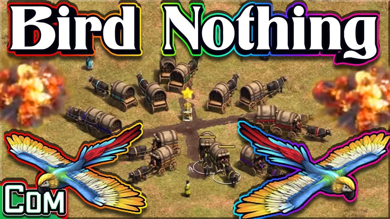 Bird Nothing