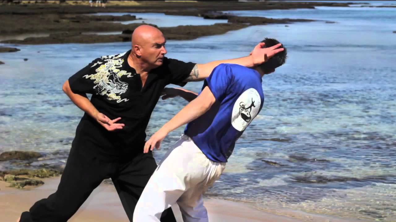 Ba gua zhang - Swimming Dragon - Form and Function New DVD
