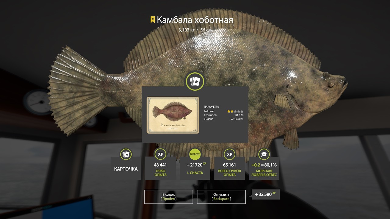 РУССКАЯ РЫБАЛКА 4. ИЩУ ГДЕ ПОЛОВИТЬ РЫБУ.