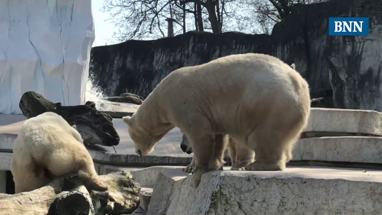 Frühling im Zoo Karlsruhe 2017