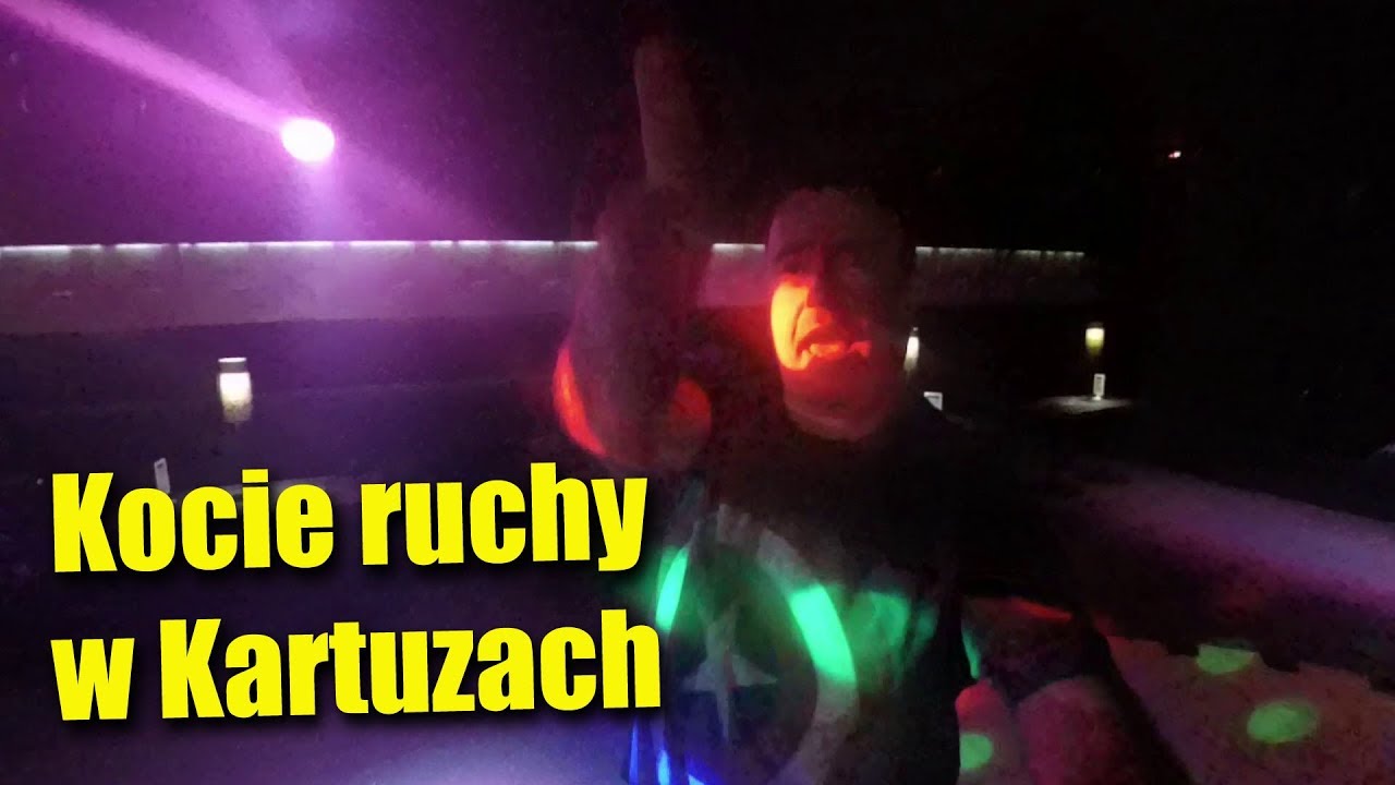 Kocie ruchy w Kartuzach