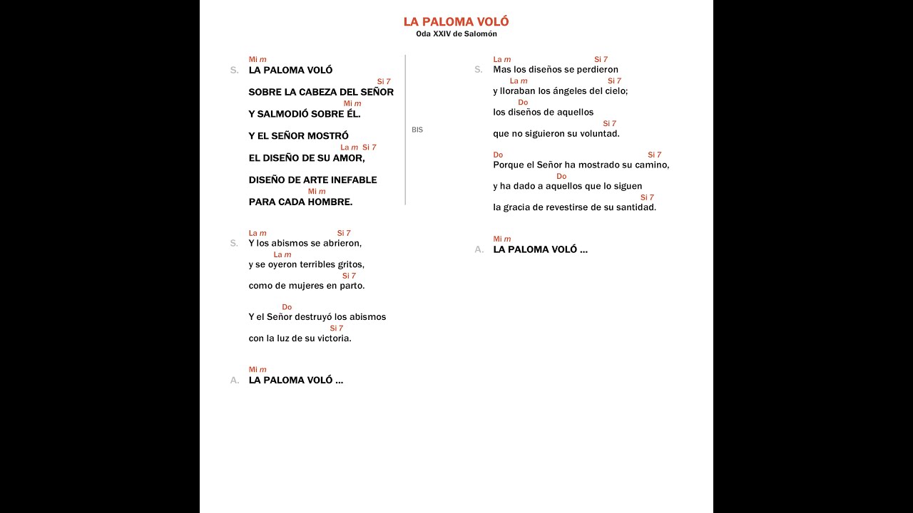 La paloma voló (Verde | Elección) | Camino Neocatecumenal