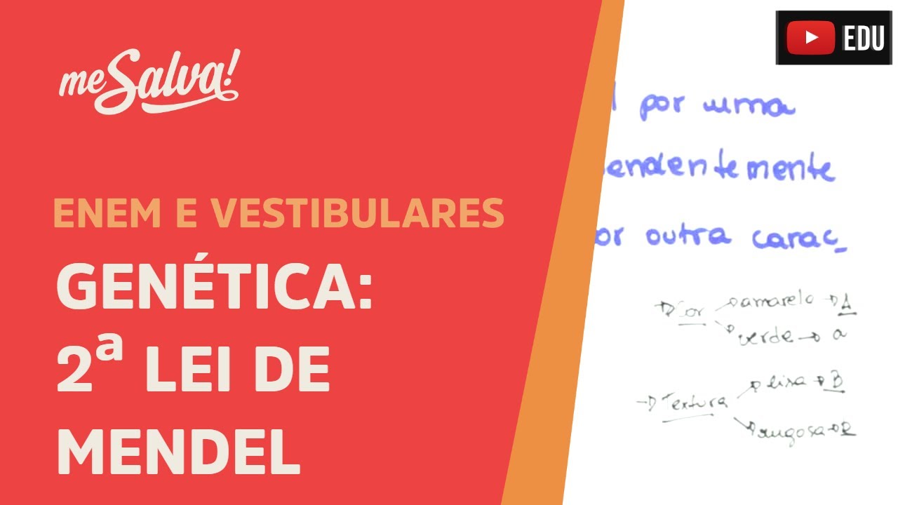 Me Salva! GEN12 - Genética - Segunda Lei de Mendel