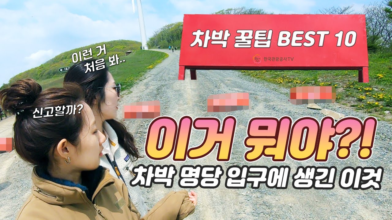 [차박 초보 팁] 육백마지기 실전 차박 도전 ㅣ 차박 초보자를 위한 팁 10가지
