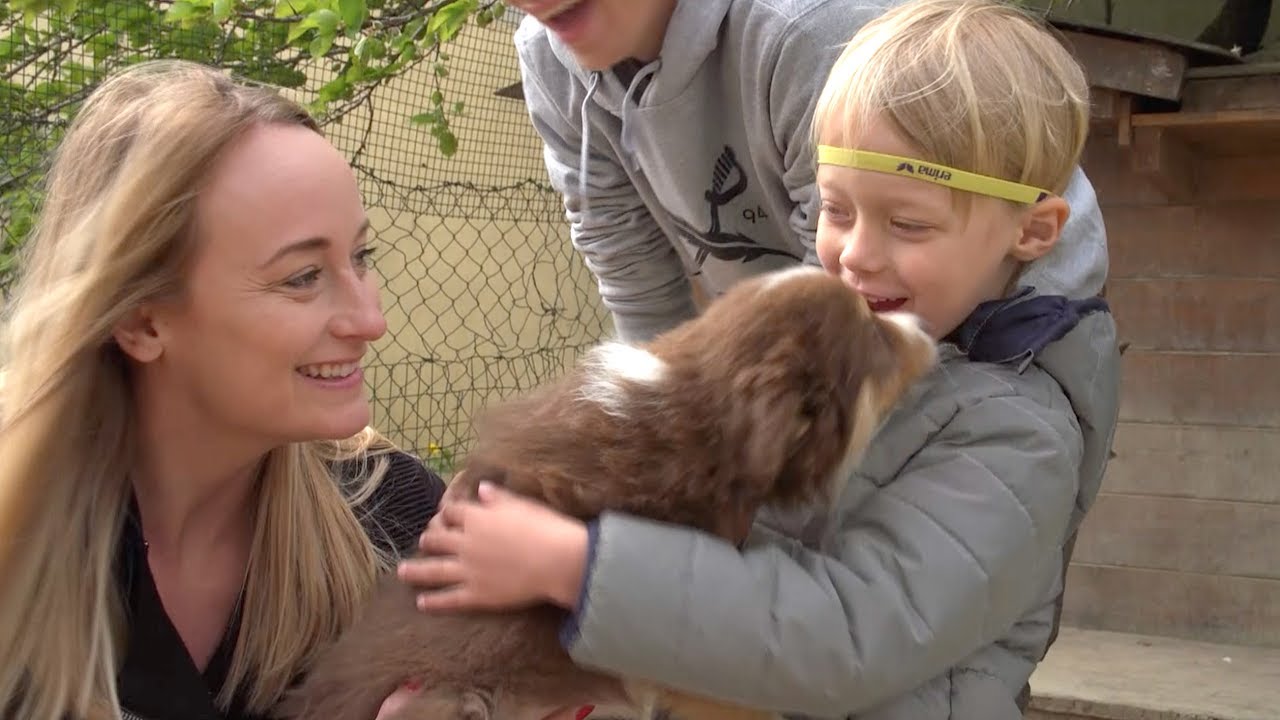 Fam. Schmid-Seidl bei Border Collie´s