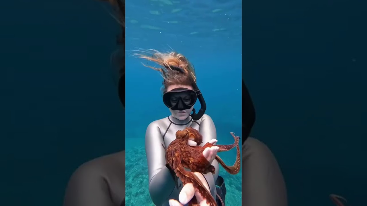 Watch this baby octopus grow up! #ocean #babyoctopus #octopus #shorts 📷: jennakonyok