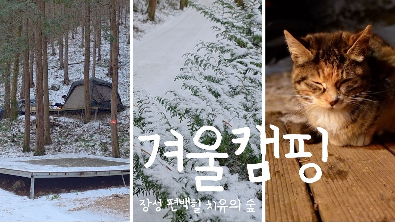 겨울캠핑🥶 눈은 쌓여있는데 도로 눈은 녹아서 위험하지 않았으면 좋겠는 캠핑날