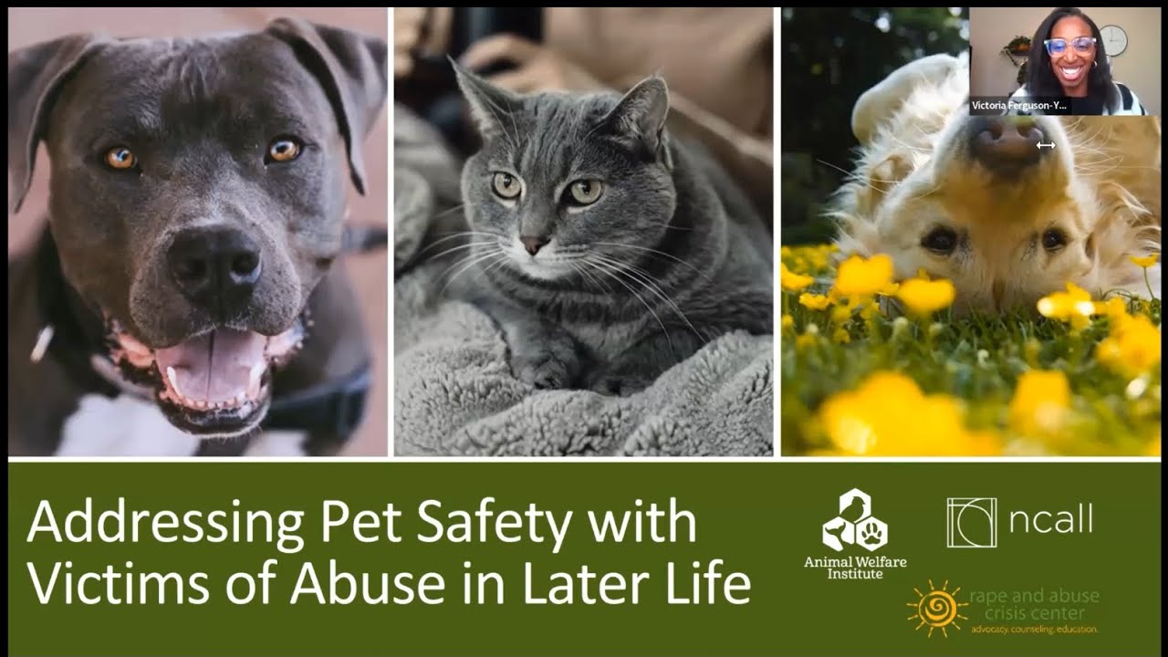 Addressing Pet Safety with Victims of Abuse in Later Life