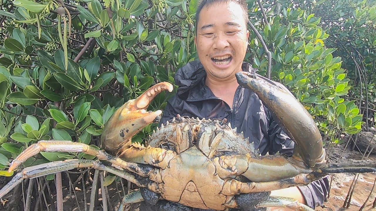 玉平赶海抓到两斤多的青蟹，长这么大是“成精”了吗，看着都吓人