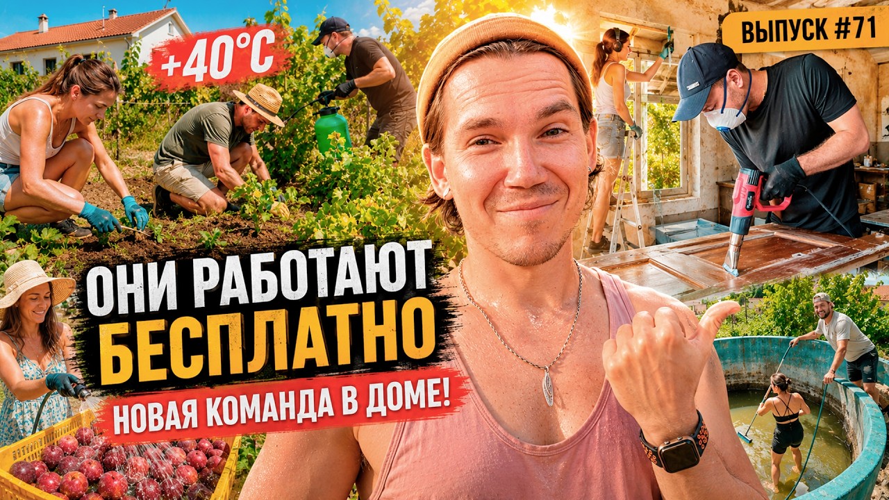 Новые волонтёры в моём доме в Португалии: ремонт, урожай и жара +40&deg;C | Дом в Португалии. Выпуск 71