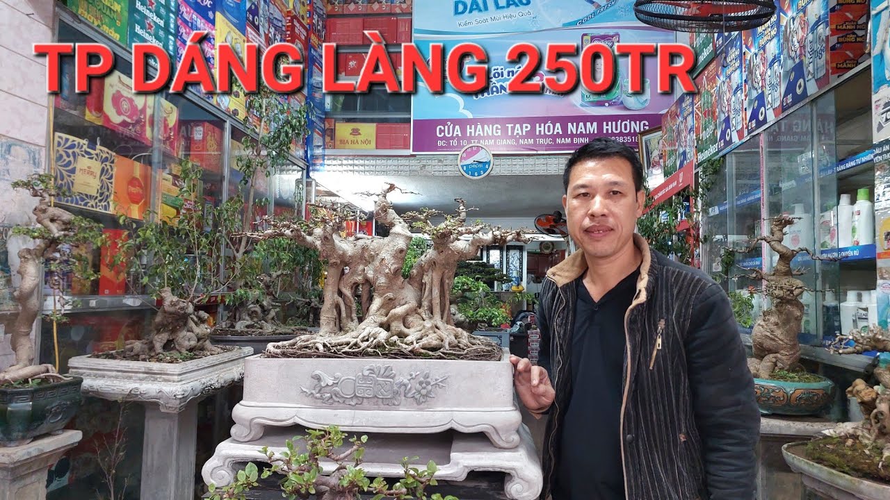 Chợ viềng Nam Định 2023 ! BÁO GIÁ 1 số Tp tại cửa hàng CC của anh NAM cho QUÝ VỊ tham khảo .