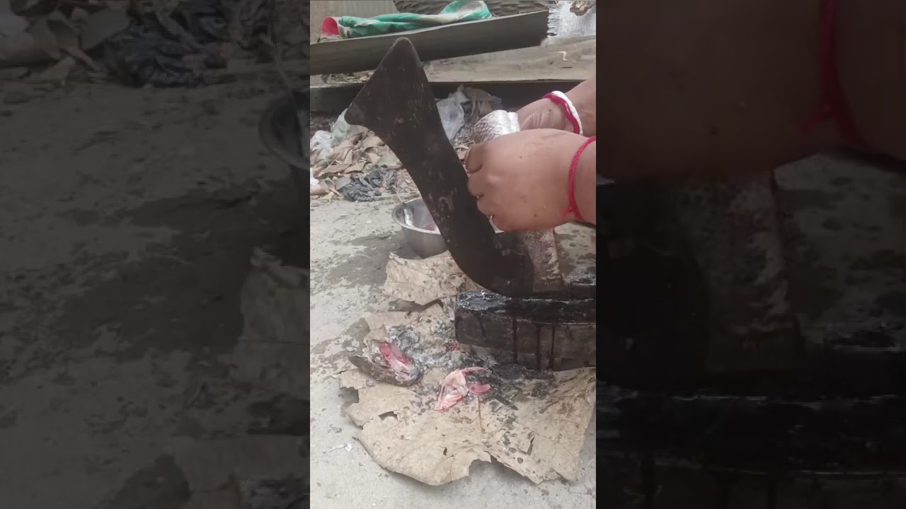 শোল মাছ কাটার সহজ পদ্ধতি একবার দেখে নাও 🐟🐈