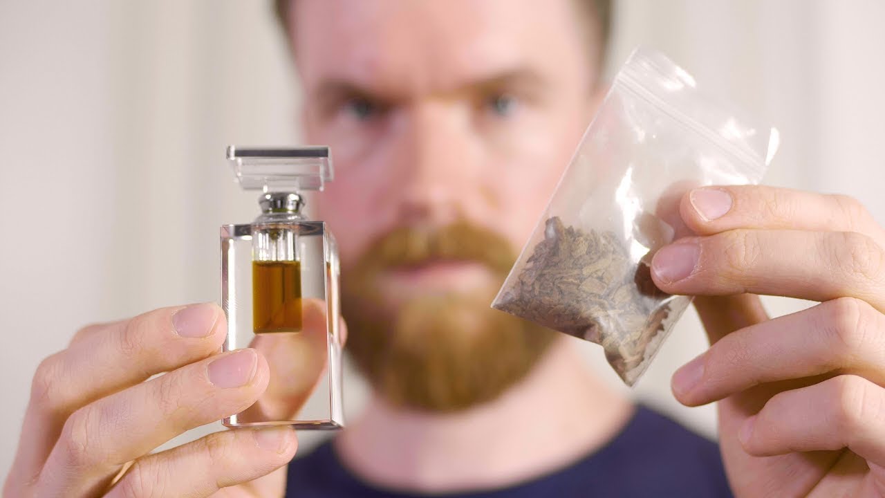 Parf&uuml;m Basics | Was ist Oud und warum ist es so teuer? 💸💸 | Parfum Inhaltsstoffe