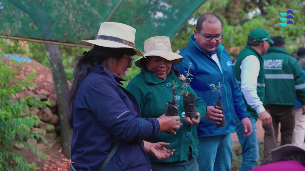 Fondo Alianza por el Agua: Siembra de queñuales para recuperar el agua en Arequipa