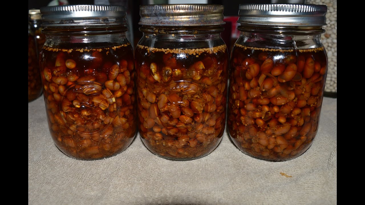 Canning Boston Style Beans