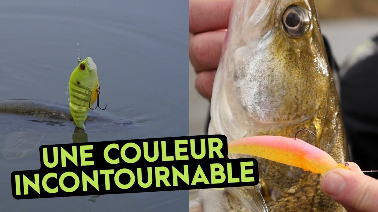 Une couleur de leurre qui cartonne : le Chartreuse / Les leurres connectés vont-ils débarquer ?