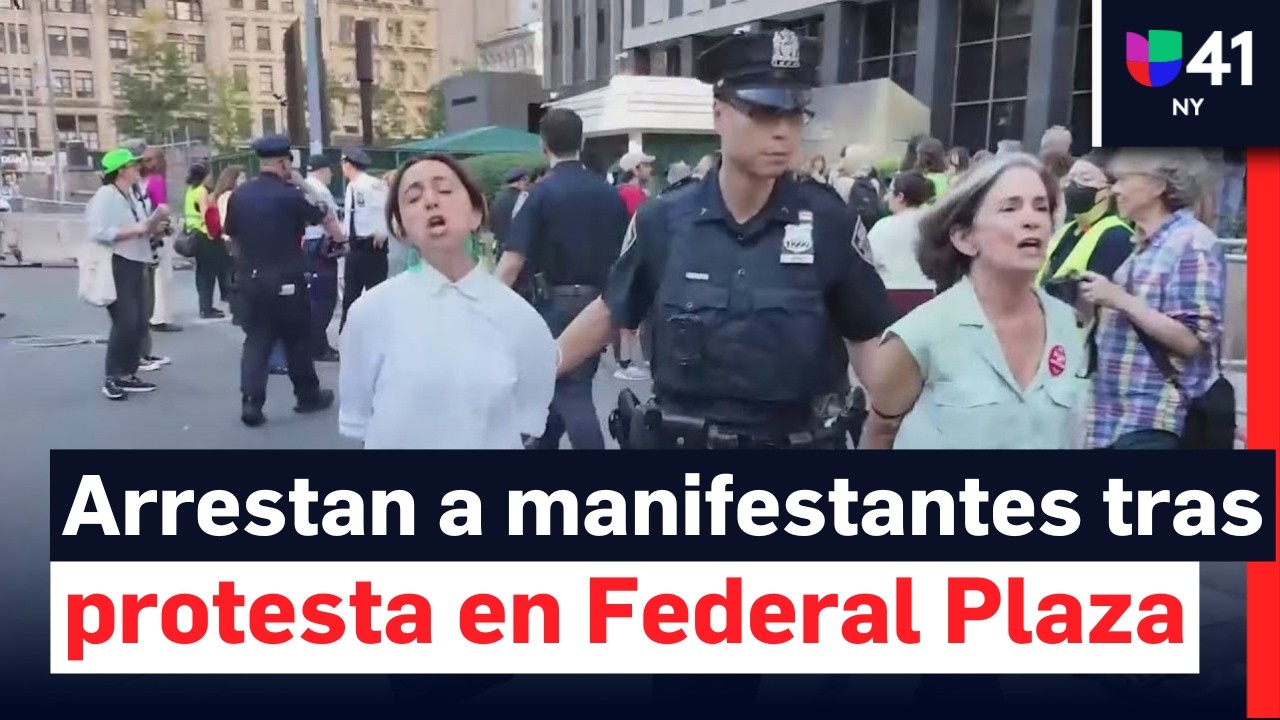 Arrestan a 11 funcionarios electos y a varios manifestantes tras protesta en el 26 Federal Plaza