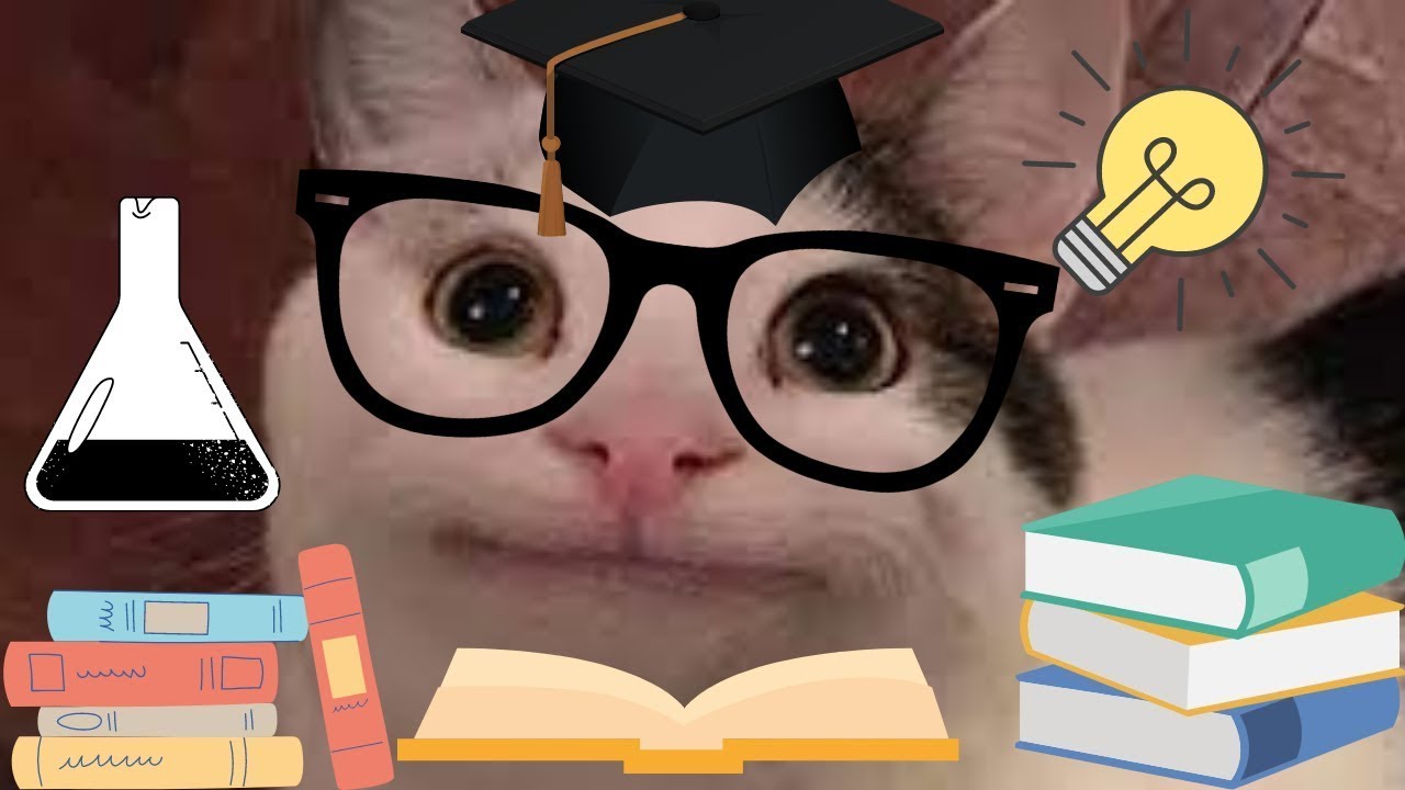When Beluga Becomes Smart