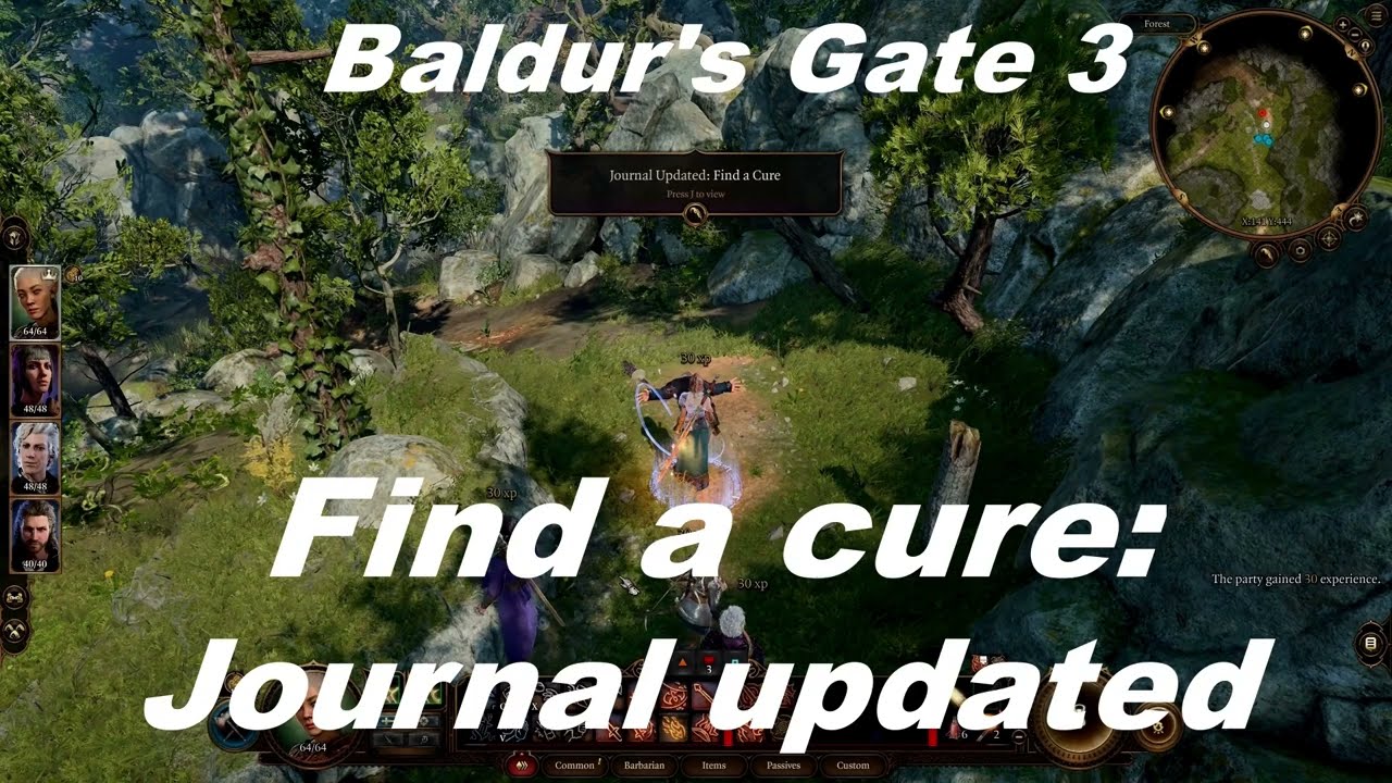 Baldur's Gate 3 Find a cure The tadpole runs away into the woods and disappears