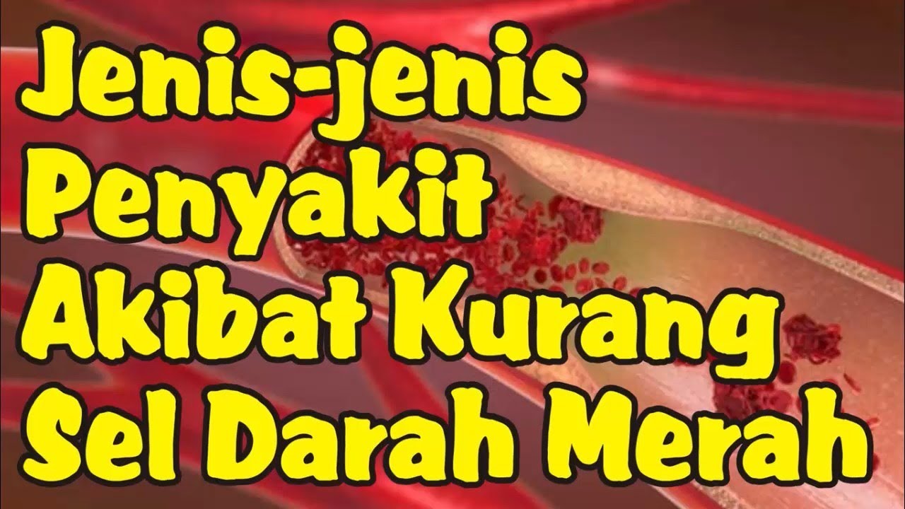 Jenis Penyakit Akibat Kekurangan Sel Darah Merah