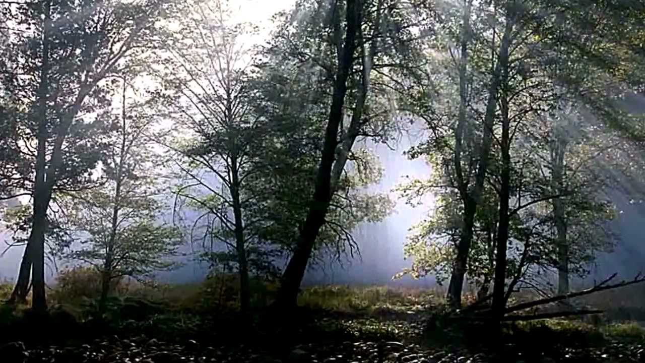 Edda Művek - Erdély felé