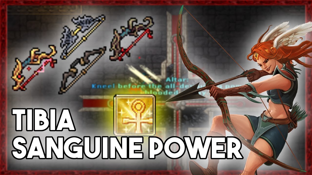 [PL] Tibia | Testy Sanguine Power - Royal Paladin!