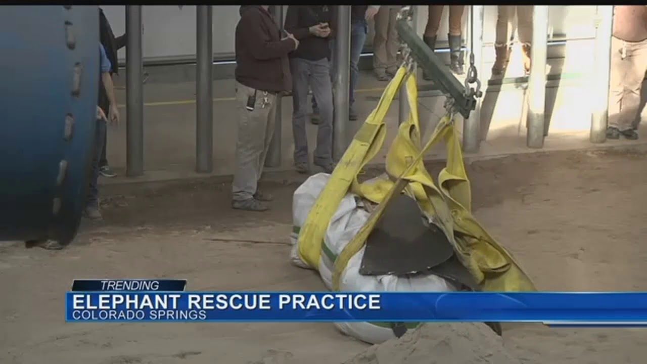 Emergency rescue training for elephants at Cheyenne Mountain Zoo