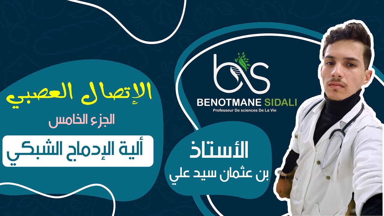 الإتصال العصبي : الجزء الخامس ( آلية الإدماج العصبي )