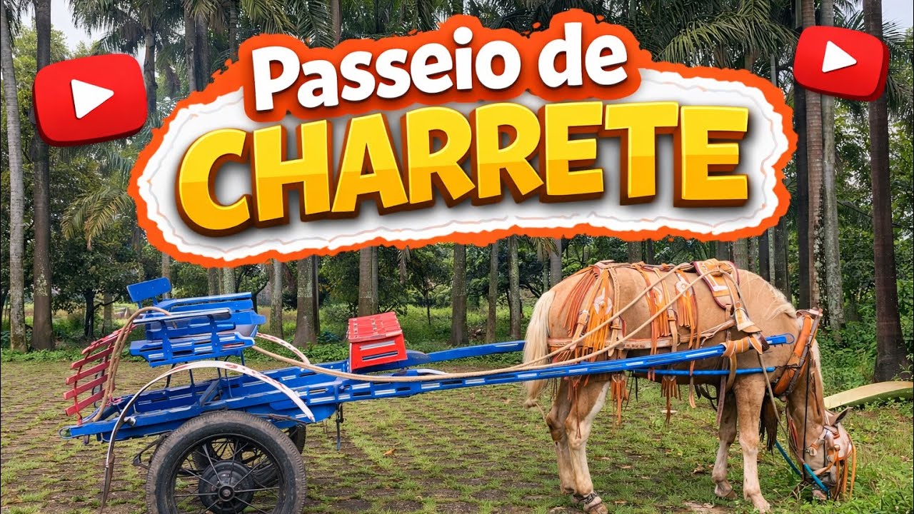 Começamos o 3IRM assim: trato no cavalo e repasse de charrete