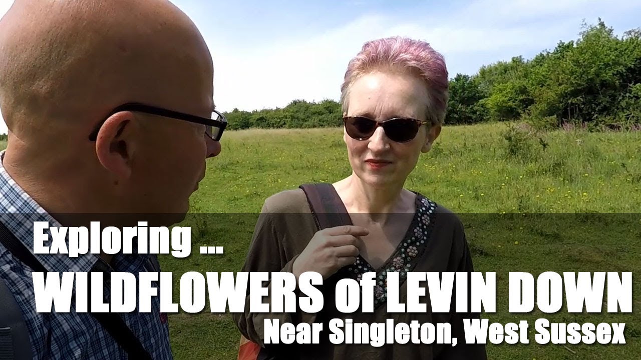 Walks in England: Exploring Levin Down near Singleton, West Sussex