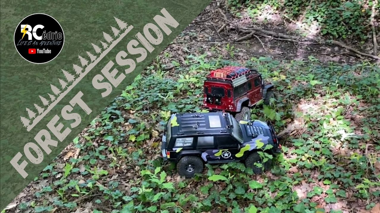 RC car crawler | TRAXXAS TRX-4 - REELY FreeMen | Forest session