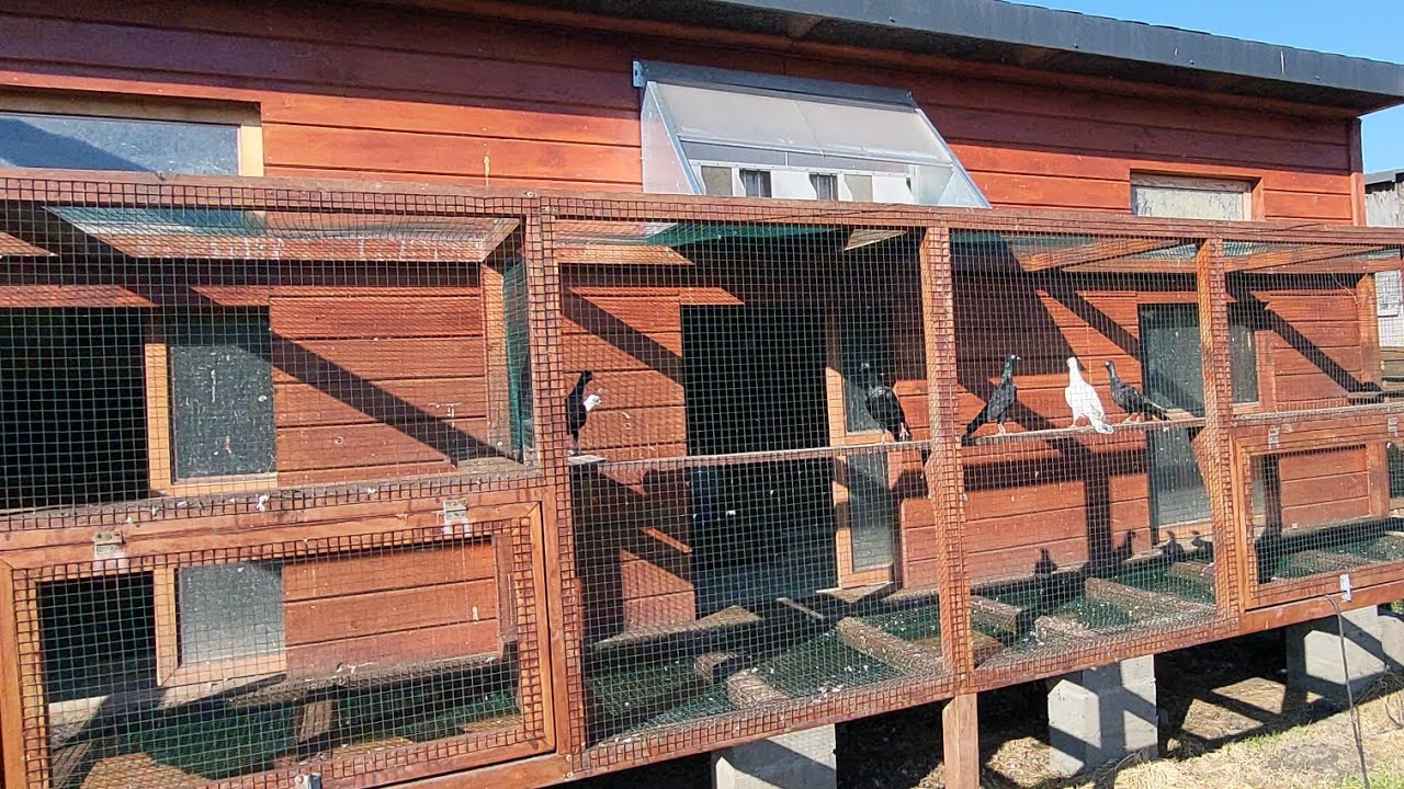 SUPER WIEDEŃSKIE SIĘ ODNALAZŁY 👌ZAPRASZAM NA FILM 💪💪