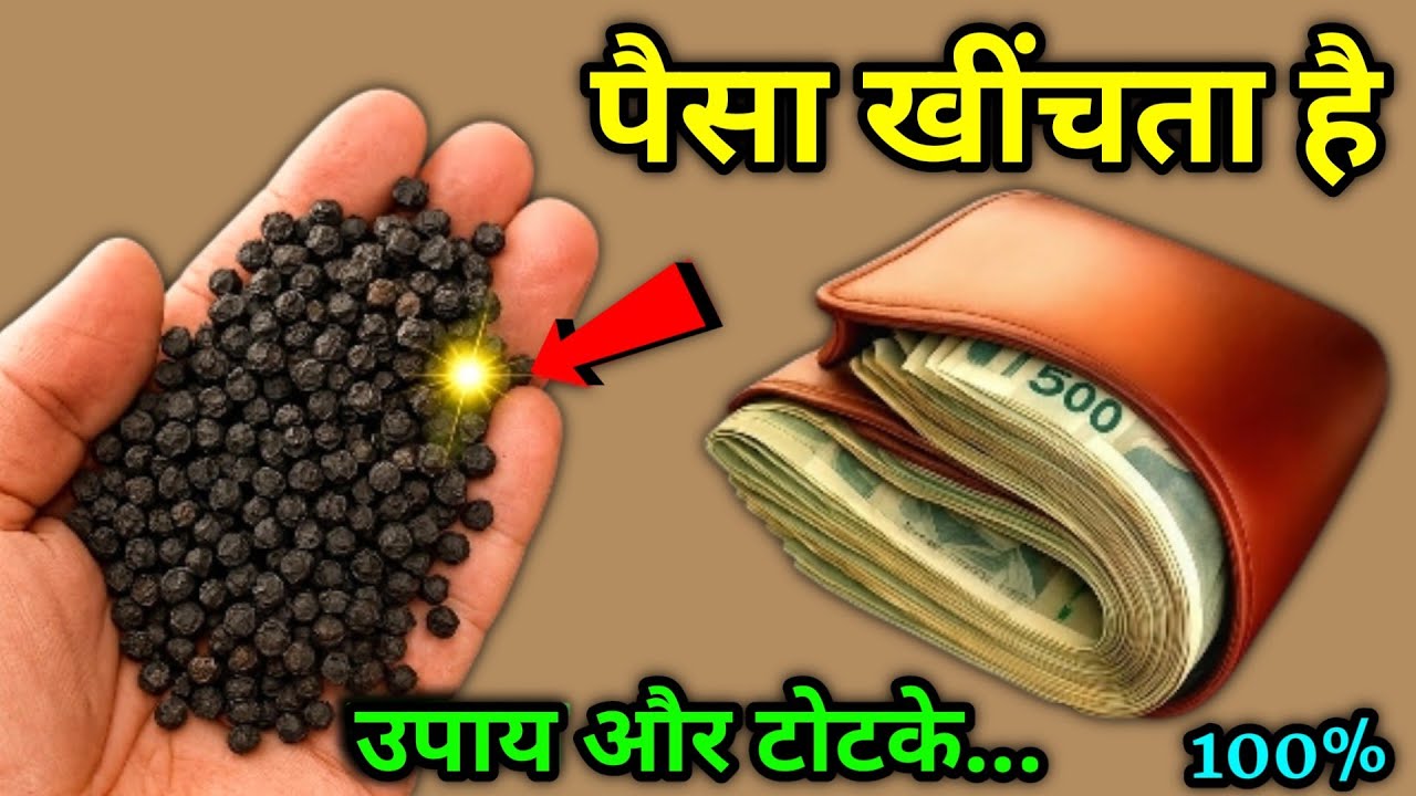एक मुठ्ठी काली मिर्च का ये उपाय बना देगा आपको रातों-रात करोड़पति #premanandjimaharaj #vastushastra