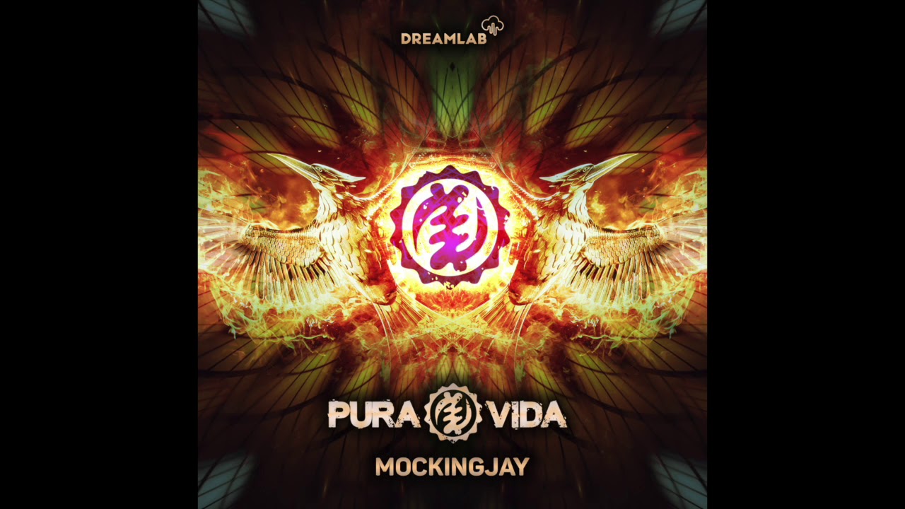Pura Vida - Mockingjay (Original Mix) ***FREE DOWNLOAD vini vici dreamlab dana asot edc