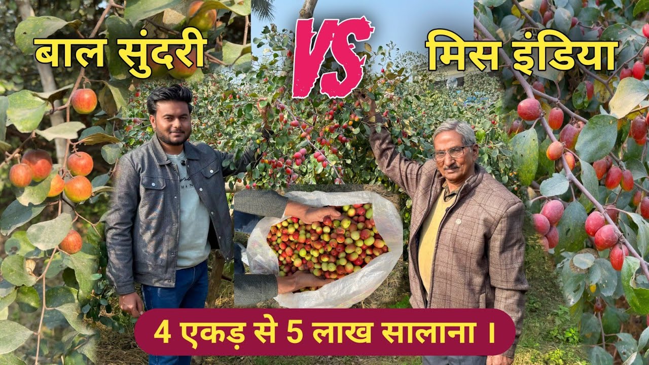 बाल सुंदरी vs मिस इंडिया ( 4 एकड़ से 5 लाख सालाना । ) | Avadh Nursery | Malihabad | Lucknow