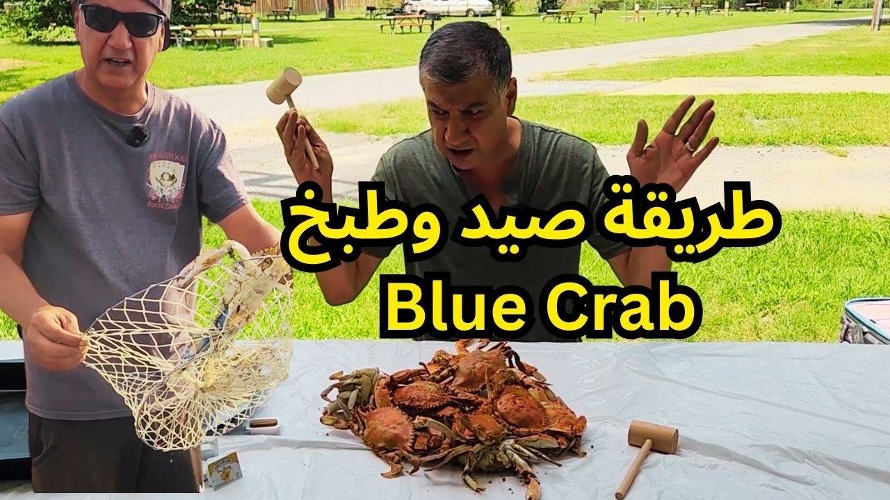 طريقة صيد وطبخ السلطعون الازرق الشهير في ولاية ميريلاند الامريكية