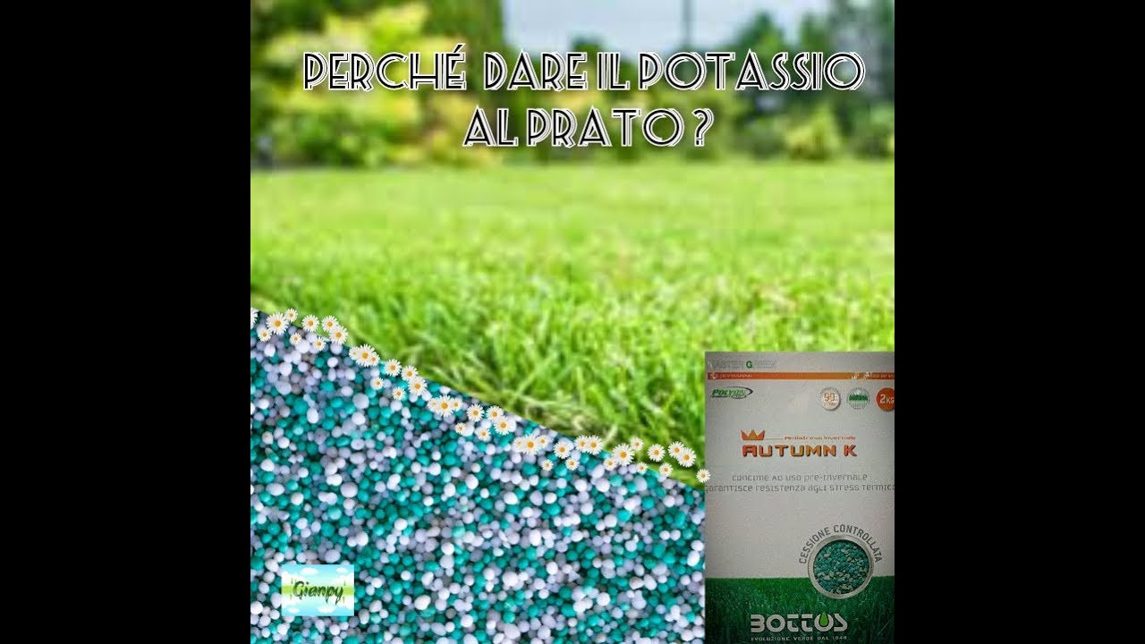 Perchè dare il potassio al prato ?