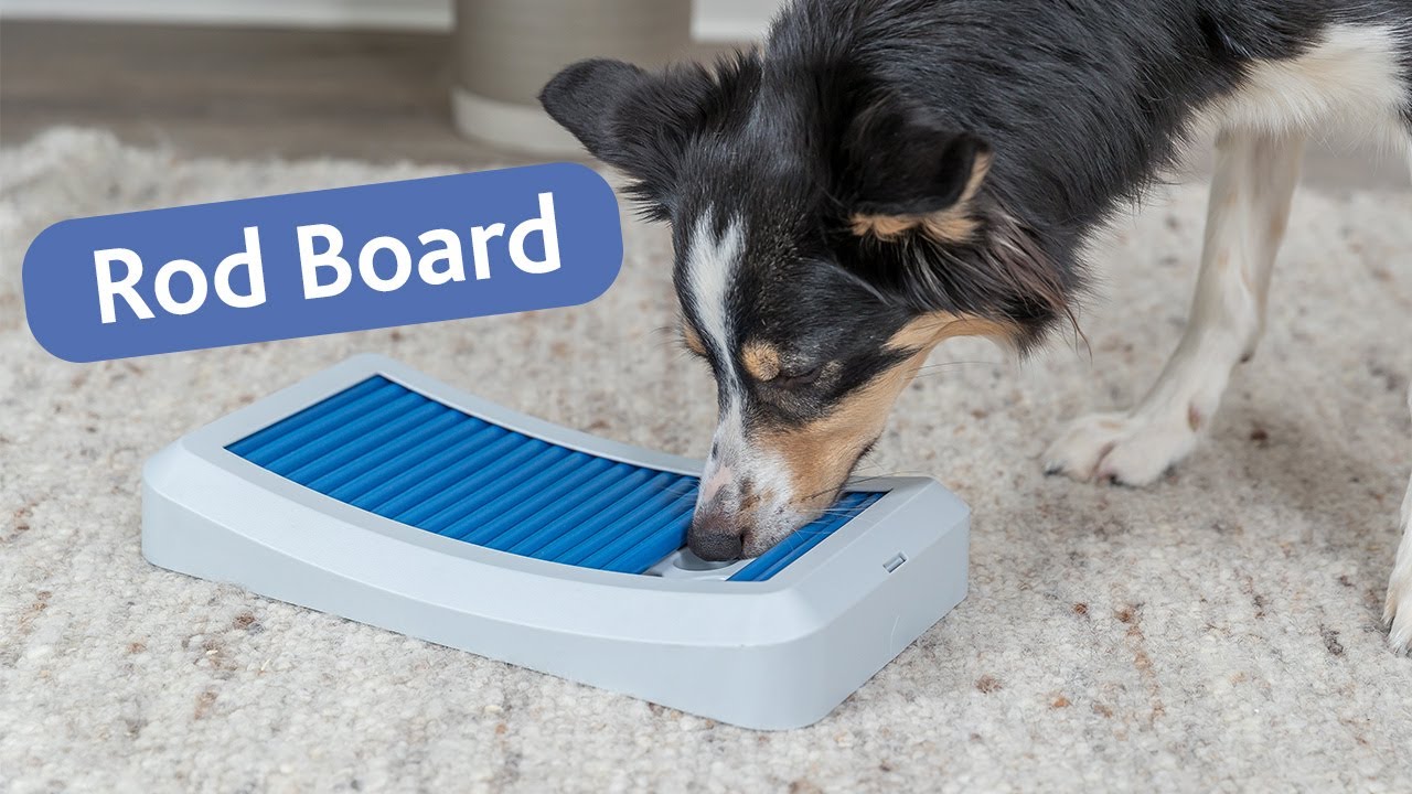Rod Board - Strategy game for dogs by Trixie Heimtierbedarf