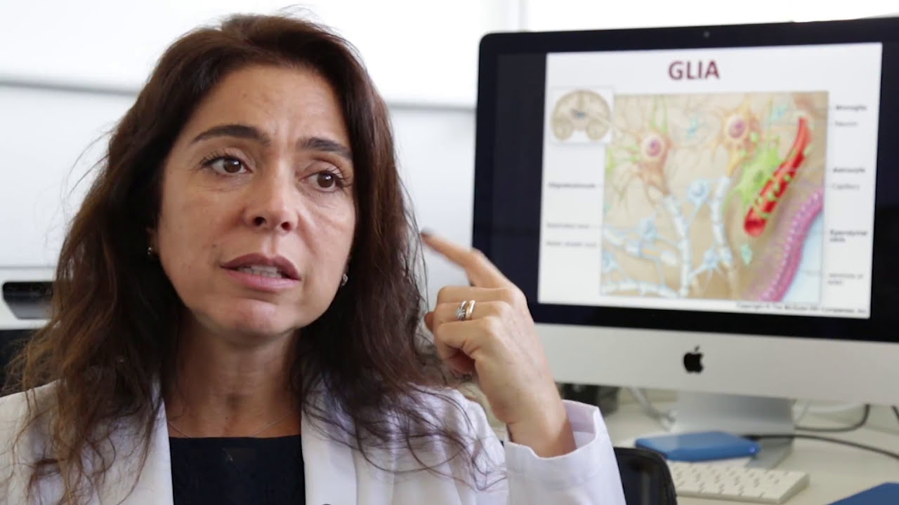 Como se produz células do sistema nervoso em laboratório | NDC 01