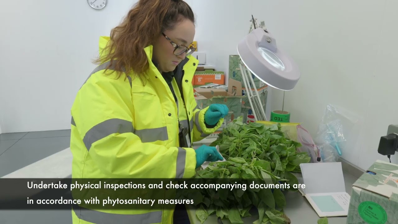 A day in the life of a Plant Health Imports Inspector