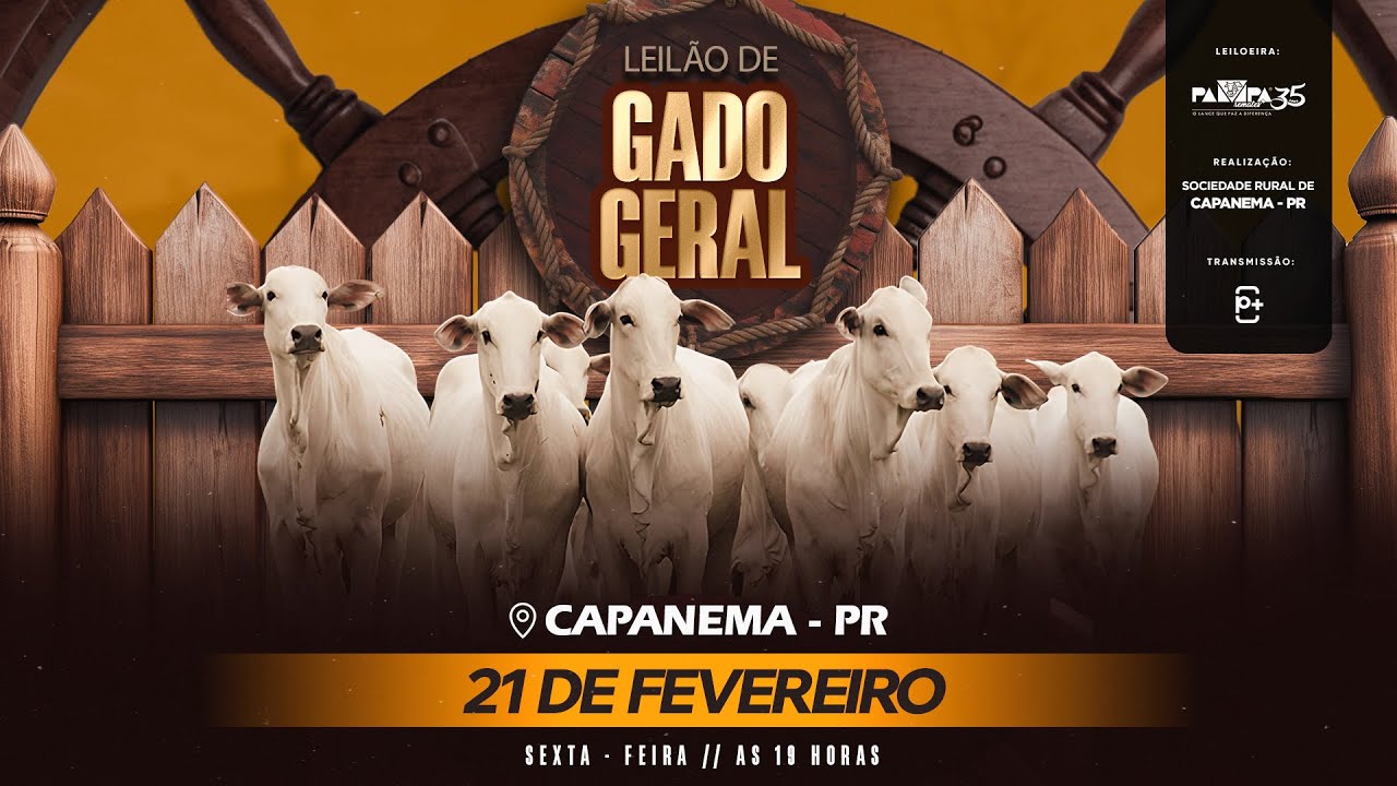 Leilão de Gado Geral, CAPANEMA/PR 21/02/2025 19:00h